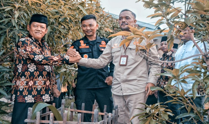 Foto : Benih Kelapa Genjah Varietas Pandan Wangi di Sumut.