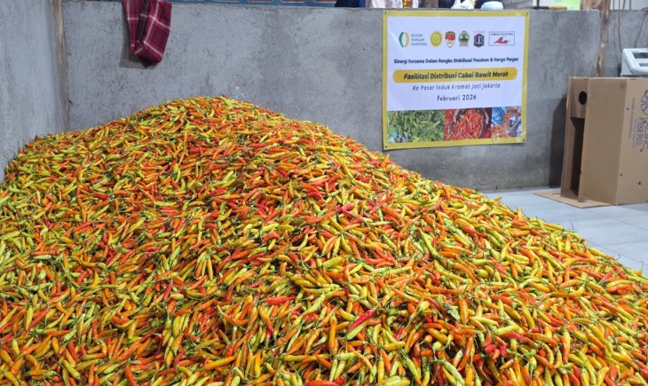 Didukung Champion Cabai Nasional, Kementan Guyur Pasokan ke PIKJ untuk Tekan Lonjakan Harga. (Foto: dok. Kementan)