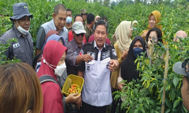 Foto : Dirjen Hortikultura Meninjau Sentra Lahan Pertanian Cabai di Desa Kataan, Kec. Ngadirejo, Kab. Temanggung.