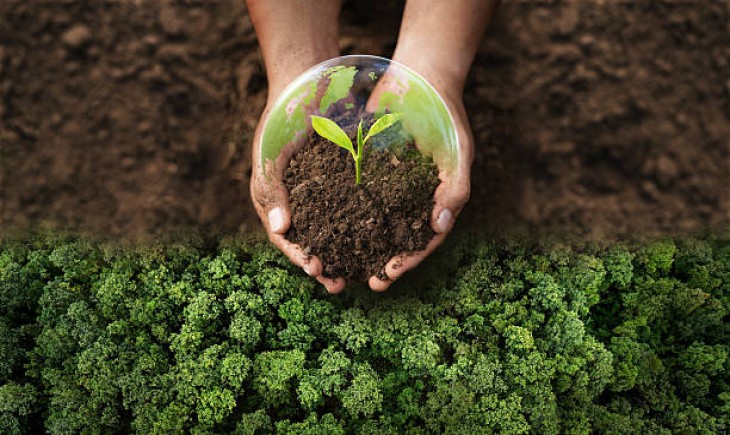 “Ilustrasi” Lingkungan hidup. (Foto: iStockphoto)