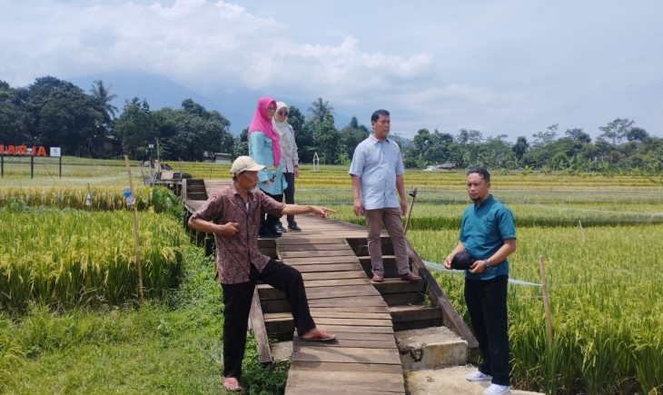 Jajaran Dinas Ketahanan Pangan dan Pertanian (DKPP) Kota Bogor, bersama petani sedang melakukan pengecekan menjelang panen raya di Mulyaharja, kota Bogor (Pangannews.id)