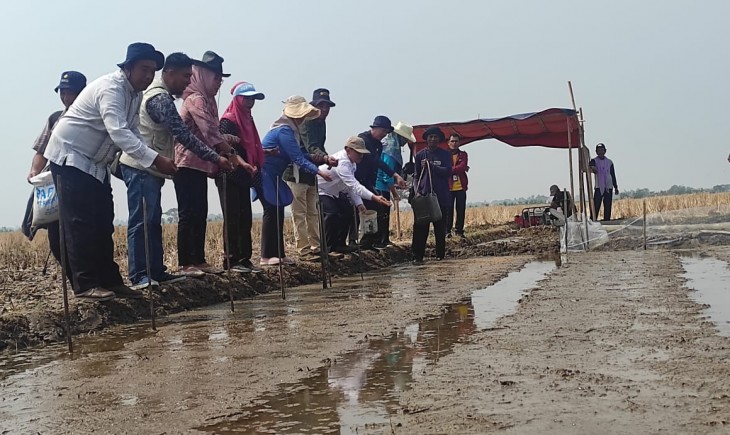 Mentan Amran Targetkan Produksi Beras Meningkat, Banten Merespon Cepat. (Dok. Kementan)
