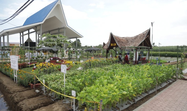 Percontohan Pengembangan Agribisnis seluas 16,47 hektare pada Pekan Nasional (Penas) Tani Nelayan XVI Padang. (Dok. Kementan)