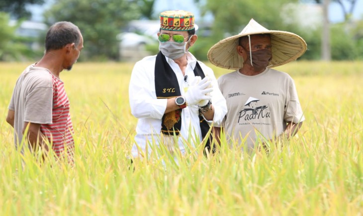 Foto : Sektor Pertanian Menjadi Lokomotif Ekonomi Indonesia di Masa Pandemi Covid-19.