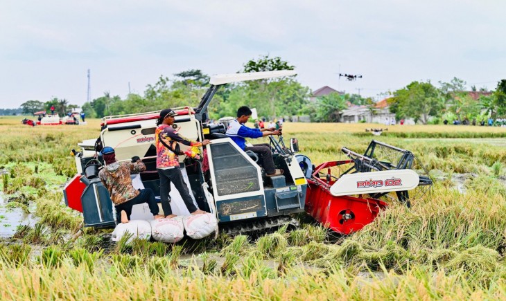 Petani Karawang Sambut Swasembada Pangan: Produksi Meningkat, Harga Gabah Naik, Kesejahteraan Kian Terasa. (Foto: dok. Kementan)