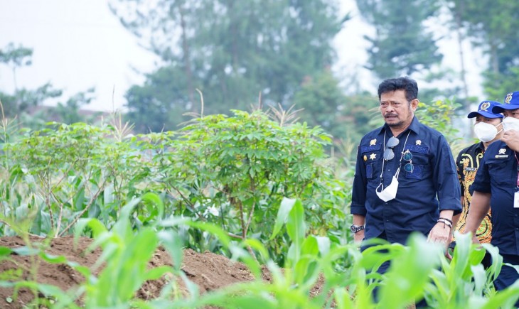 Foto : Menteri Pertanian RI, Syahrul Yasin Limpo (SYL)