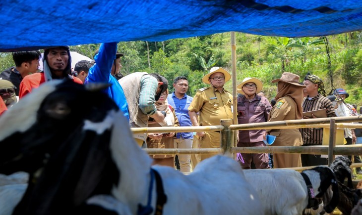 Foto : Suasana saat panen raya para peternak binaan Upland Project Kementerian Pertanian di Desa Karangsari, Kecamatan Pejawaran, Banjarnegara.
