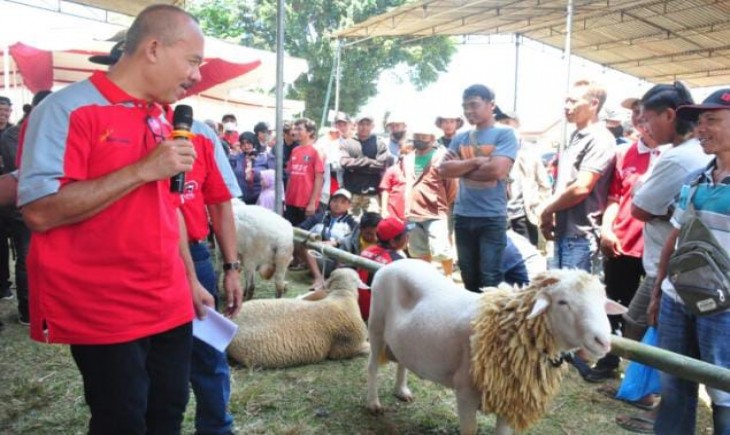 Kontes dan Expo Ternak Cilacap 2023 (Humas Kab.Cilacap)