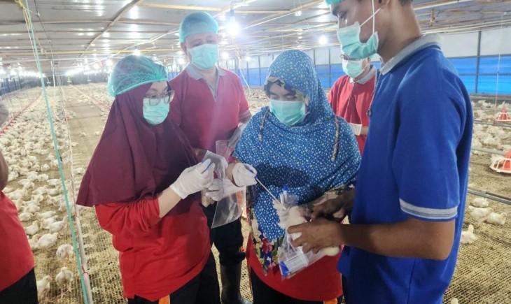 Kementerian Pertanian melalui Direktorat Jenderal Peternakan dan Kesehatan Hewan melakukan pembinaan ke peternakan ayam di Pulau Bintan. (Foto: Dok. Kementan)