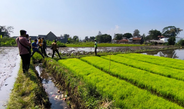 Kementan meluncurkan program peningkatan produksi padi dan tanaman pangan lainnya melalui berbagai kegiatan, diantaranya pompanisasi di Kabupaten Pamekasan, Jawa Timur. (Foto: Dok. Kementan)