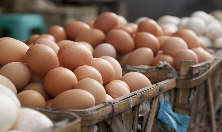 Kebutuhan telur di Kabupaten Tabalong mencapai sekitar 45 juta butir per tahun, sementara produksi lokal baru berkisar tujuh juta butir per tahun. (Foto: Pixabay)