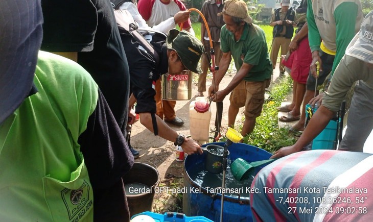 Gerakan pengendalian WBC yang dilakukan pada hari jumat (31/5) di pertanaman Desa Sambongpari, Kecamatan Mangkubumi, Kota Tasikmalaya. (Foto: Dok. Kementan)