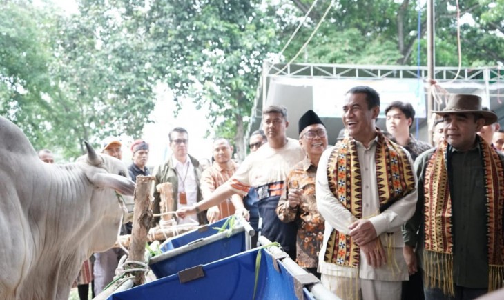 Mentan Amran saat acara Kontes dan Ekspo Sapi APPSI Lampung 2024, Piala Ketua MPR RI, di Bandar Jaya, Lampung Tengah, Sabtu (16/11/2024).