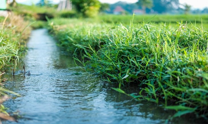 DKPPP Serang usulkan 26 titik irigasi, targetkan 577 hektare sawah terairi. (Foto : ilustrasi/Pixabay)