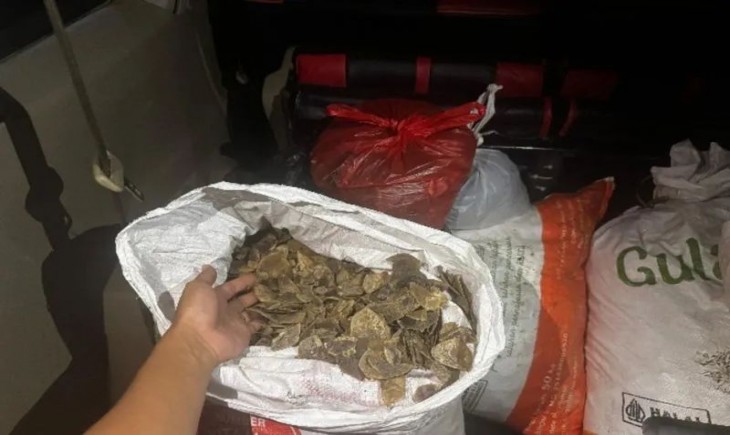 Petugas Gakkum Kemenhut memperlihatkan barang bukti perdagangan sisik trenggiling yang berhasil diamankan di Kalsel, Jumat (30/5/2025). (Foto : ANTARA/HO-Kemenhut)
