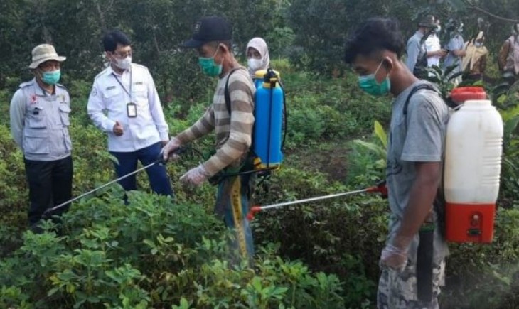 Foto : Direktorat Perlindungan Tanaman Pangan mengoptimalkan percepatan program Gerakan Pengendalian OPT Aneka Kacang dan Umbi di berbagai wilayah. Sumber Foto : industry.co.id