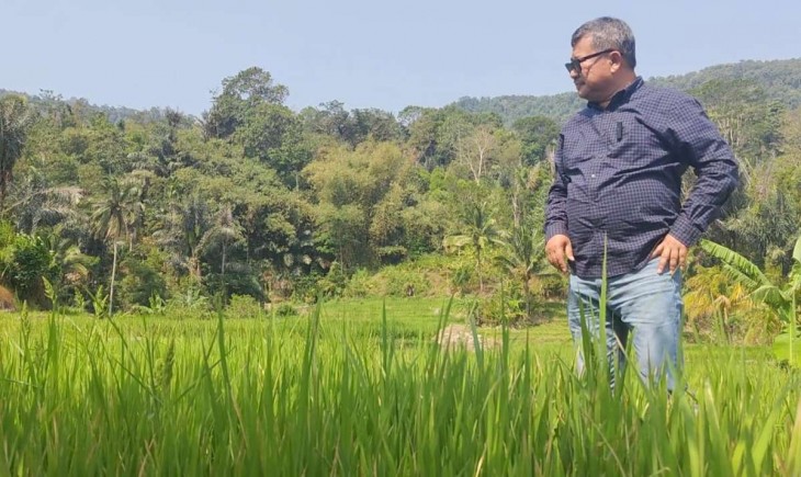 Bupati Garut Rudy Gunawan saat mengecek lahan pertanian. (Diskominfo Garut)