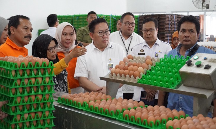 Dirjen PKH, Agung Suganda saat melakukan kunjungan ke Rumah Kebersamaan Peternak Layer Mandiri yang dikoordinatori oleh drh. Eti, salah satu peternak layer di Blitar, (19/04/2025). (Foto: dok. Kementan)