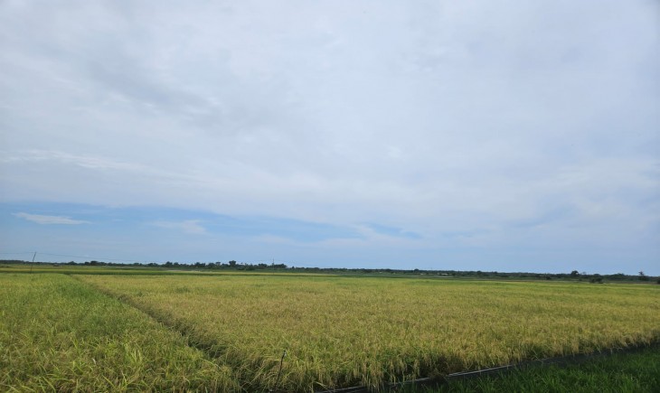 Kuota Pupuk Naik, Pemprov Kalsel Apresiasi Kementan. (Foto: Dok. Kementan)