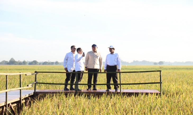 Produksi Beras Jan-Nov 2025 Diperkirakan 33,19 Juta Ton, Semakin Mendekati Prediksi FAO dan USDA. (Foto: dok. Kementan)