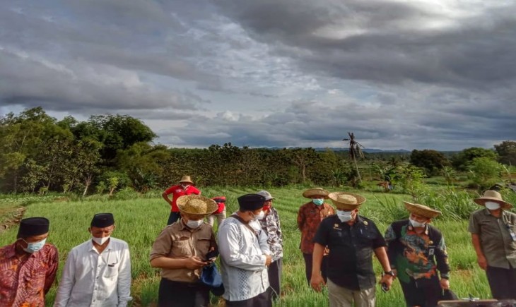 Foto : Potensi Andalan Hortikultura Sumenep.
