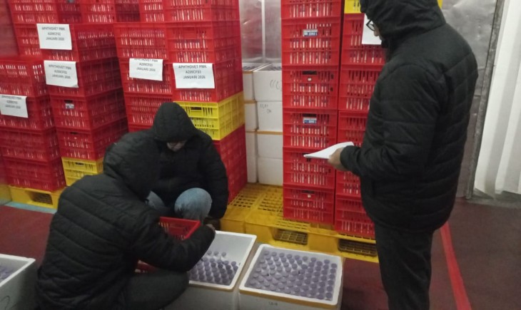 Kementerian Pertanian melalui Ditjen PKH mengalokasikan anggaran pengadaan vaksin PMK buatan lokal yang diproduksi Balai Besar Veteriner Farma (Pusvetma). (Foto: Dok. Kementan)