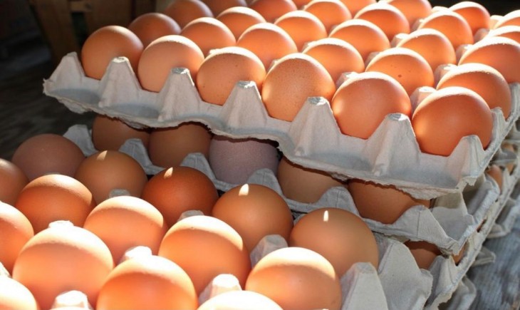 Foto : Kementan Melalui Ditjen PKH, Berupaya Melakukan Stabilitasi Harga Telur Ayam Ras di Tingkat Peternak.