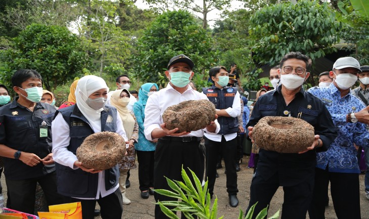 Foto : Mentan Saat Hadiri Gerakan Panen Porang di Madiun.