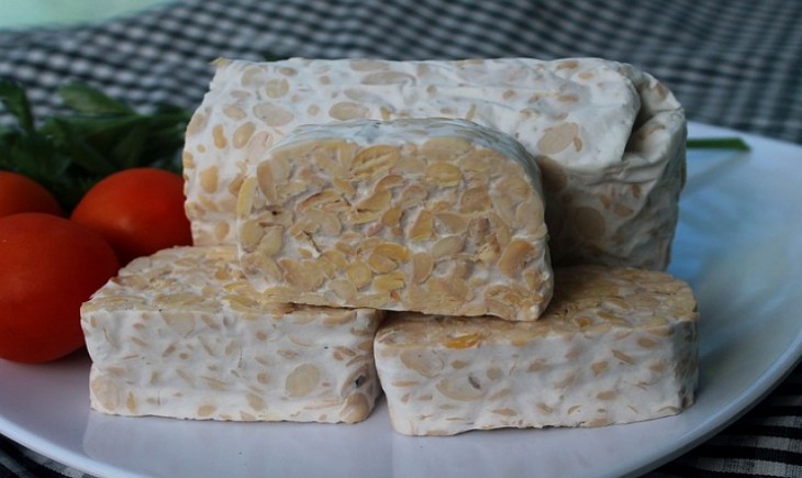 Tempe, salah satu makanan fermentasi. (Foto : Pixabay)