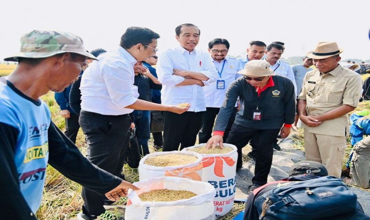 Presiden Jokowi bersama Pj Gubernur Jabar Bey Machmudin meninjau panen raya di Subang. (Pemprov Jabar)