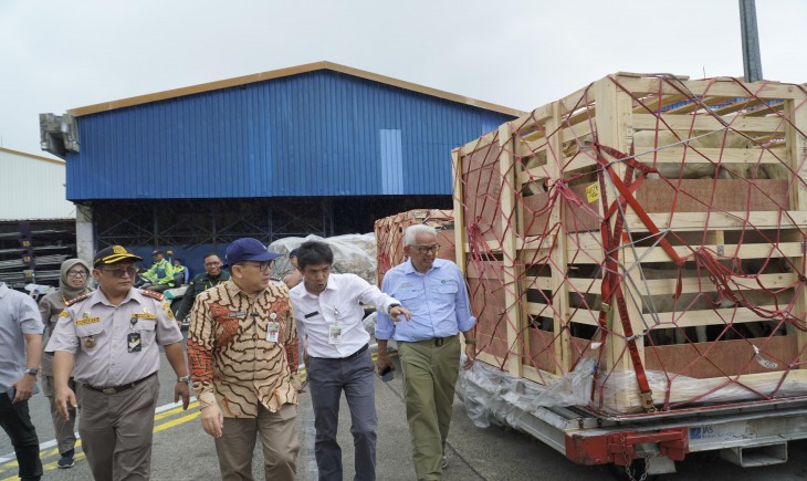 Pemerintah menyambut kedatangan 50 ekor sapi perah bunting di Bandara Internasional Soekarno-Hatta, Tangerang (3/12). (Foto: Dok. Kementan)