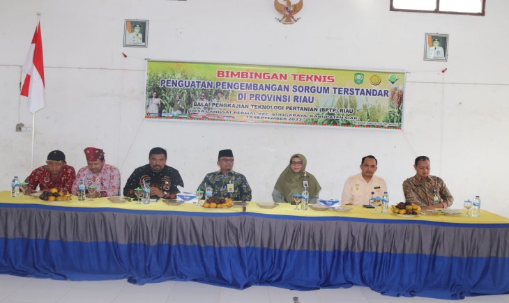 Foto : kegiatan Bimbingan Teknis (Bimtek) Penguatan Pengembangan Sorgum terstandar di beberapa kabupaten di Provinsi Riau.