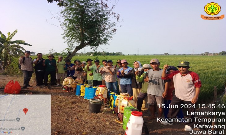Kementan menggiatkan gerakan pengendalian penggerek batang padi di Desa Lemahkarya, Kec. Tempuran, Kab. Karawang, Jawa Barat (15/6). (Foto: Dok. Kementan)
