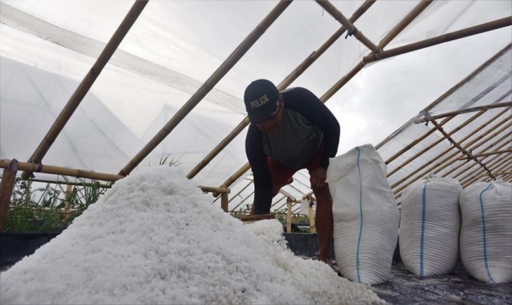 Kebutuhan garam industri 2026 dipatok 1,18 juta ton, impor diperketat. (Foto: Pemkab Batang)