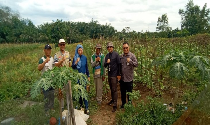 Kepala BPPSDMP Idha Widi Arsanti melakukan monitoring pelaksanaan program oplah di Kabupaten Barito Kuala (Batola) Provinsi Kalsel, Rabu (11/08/2024). (Foto: Dok. Kementan)
