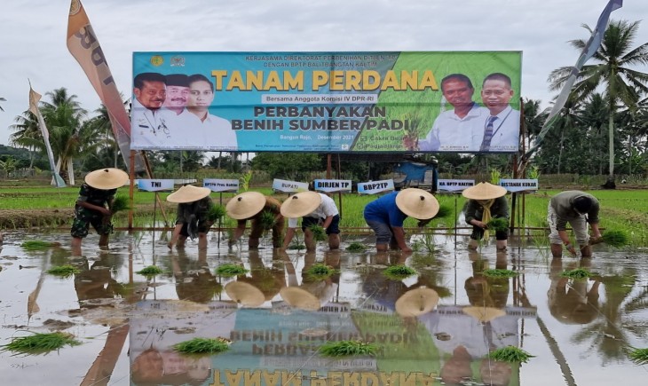Foto : Tanam Benih Sumber Padi Varietas Unggul Baru (VUB) bersama Poktan Saeko Kapti di Desa Bangun Rejo, Kabupaten Tenggarong, Kalimantan Timur.