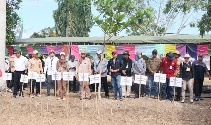 Kementan terus mendorong program PAT padi melalui berbagai kegiatan seperti optimasi lahan rawa, pompanisasi dan penanaman padi gogo. (Foto: Dok. Kementan)