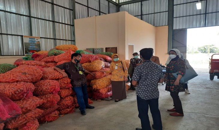 Foto : Kepala Pusat Pendidikan Perganian Idha Widi Arsanti saat berkunjung ke Balitserelia.