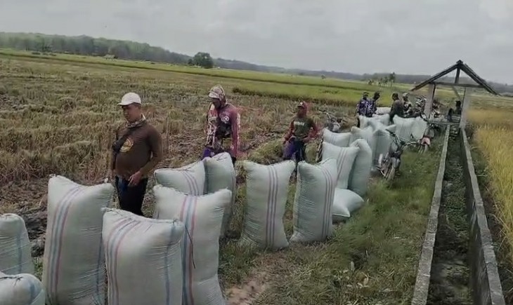 NTP Agustus 2025 Tembus 123,57, Sinyal Positif Bagi Petani Indonesia. (Foto: dok. Kementan)