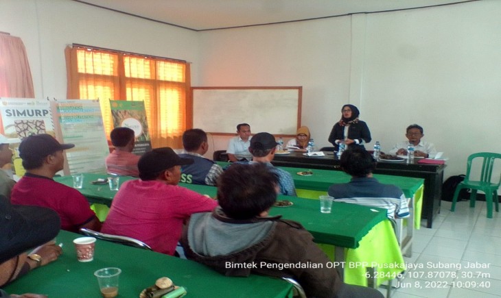 Foto : Bimtek Pengendalian OPT yang Dilaksanakan Selama Dua Hari di Dua Lokasi yaitu Kecamatan Pusaka Jaya dan Cipunagara. 