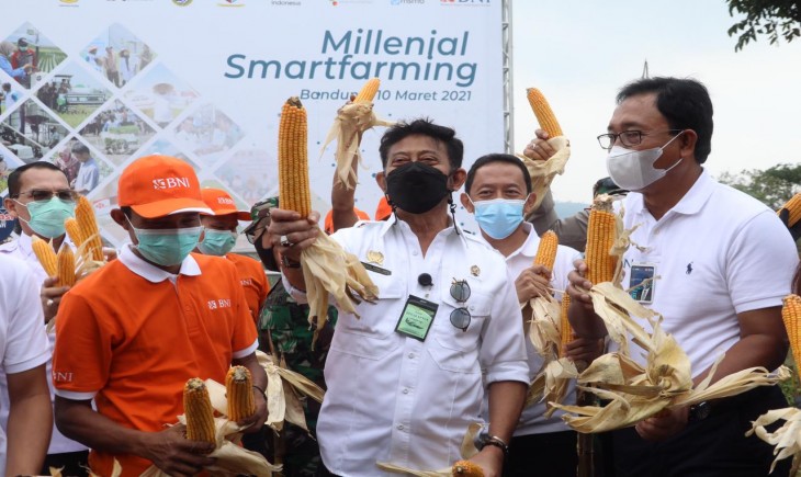 Foto : Program Milenial Smartfarming kerjasama PT BNI dengan Kementerian Pertanian.