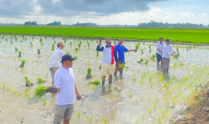 Pangkas 145 Regulasi, Kebijakan Distribusi Pupuk Langsung Ke Petani Dinilai Tepat. (Foto: Dok. Kementan)