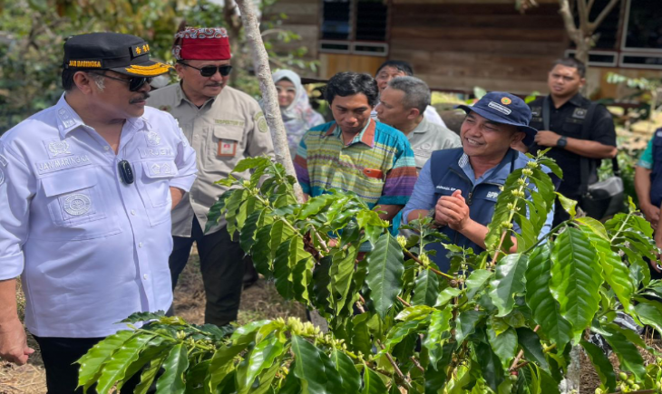 Kementan Dorong Kopi Tana Toraja Berkembang Jadi Kopi Terbaik Dunia