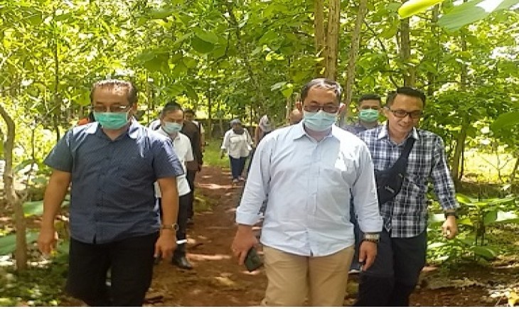 Foto : Direktur Pengolahan dan Pemasaran Hasil Tanaman Pangan, Kementan, Gatut Sumbogodjati  Saat   di Gunung Kidul,.