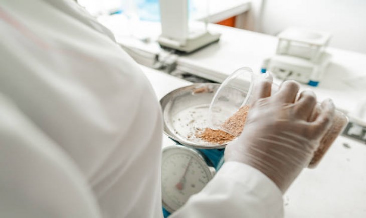 Ilustrasi uji laboratorium makanan. (Foto : iStock)