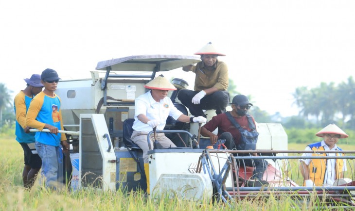 Acara panen padi musim tanam ke II di Desa Wairoro Indah dan Tilope, Weda Selatan, Halmahera, Minggu (5/10/23). (Dok. Kementan)