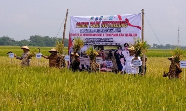 Plt Bupati Nganjuk Marhaen Djumadi bersama stakeholder terkait melangsungkan panen raya padi Nutrizinc di Desa Blitaran, Kecamatan Sukomoro, Kabupaten Nganjuk, Jawa Timur. (Kompas)