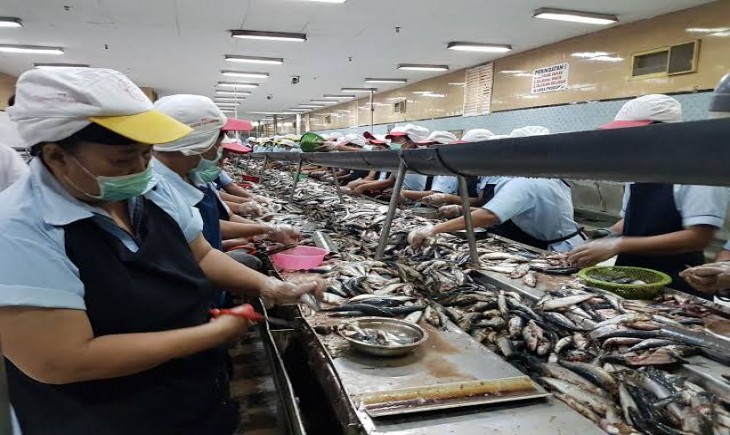 Proses pengalengan ikan (Istimewa)
