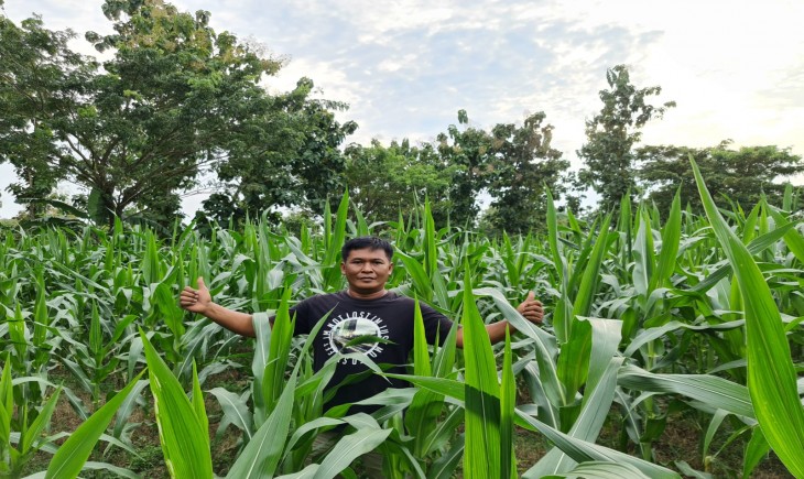 Foto : Serangan Hama Tikus Gagalkan Panen di Sejumlah Lingkungan Dusun Bagi, Kabupaten Madiun.