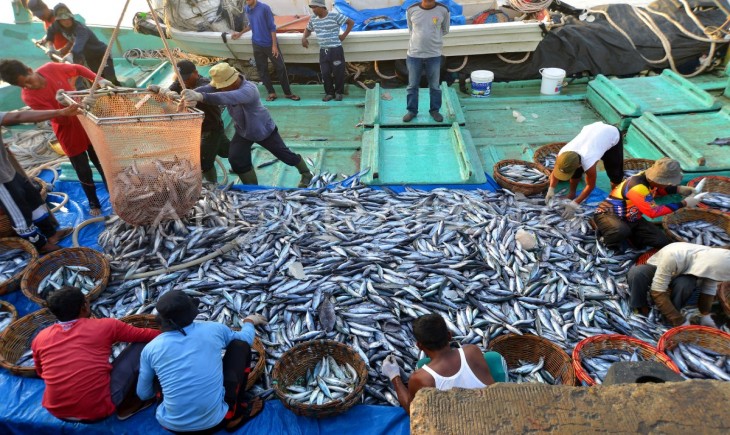 Pasokan ikan cukup, KKP pastikan harga stabil selama ramadan dan lebaran. (Foto : Antara)